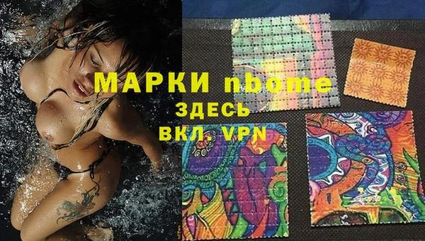 стафф Ростов