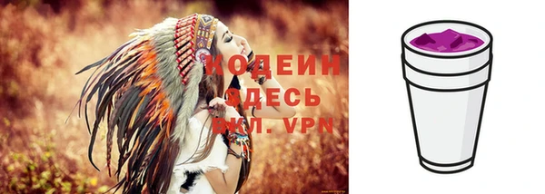 шишки Рославль