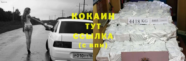 шишки Рославль