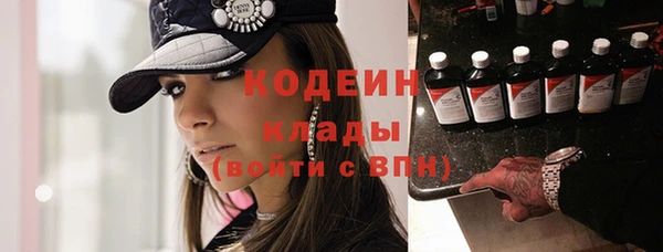 шишки Рославль