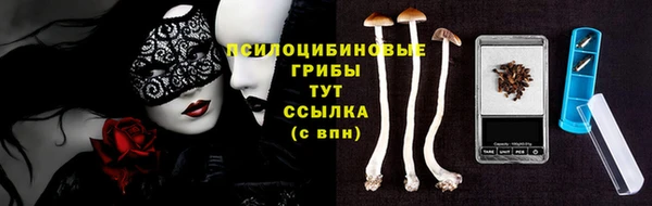шишки Рославль