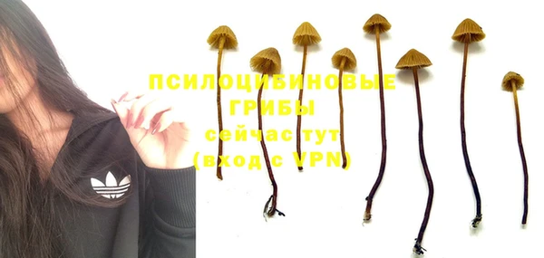 ПСИЛОЦИБИНОВЫЕ ГРИБЫ Сафоново