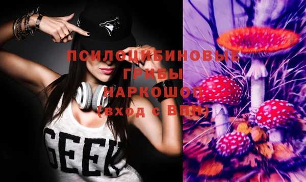 шишки Рославль