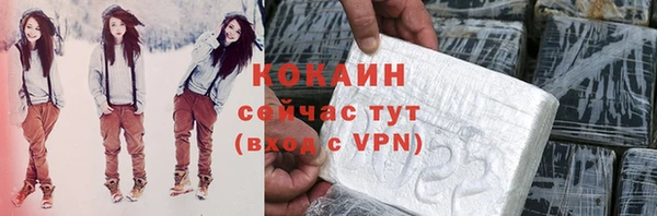 шишки Рославль