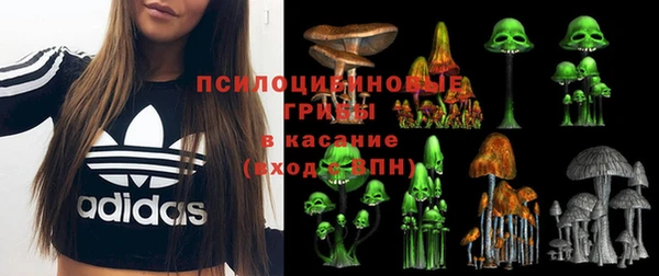 стафф Ростов