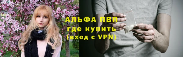 стафф Ростов