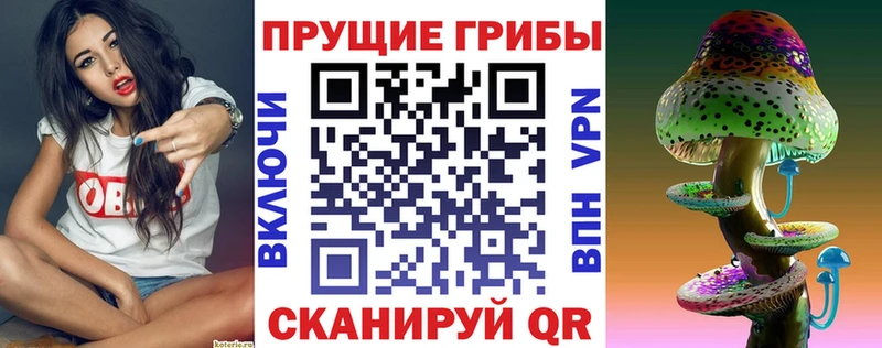 наркотики  Цивильск  Галлюциногенные грибы Psilocybe 